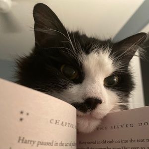 Meet your Posher, Jake